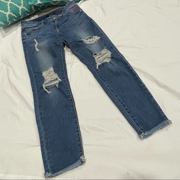 Delina Distressed‎ Embroidered Skinny Jean - Picture 13 of 16